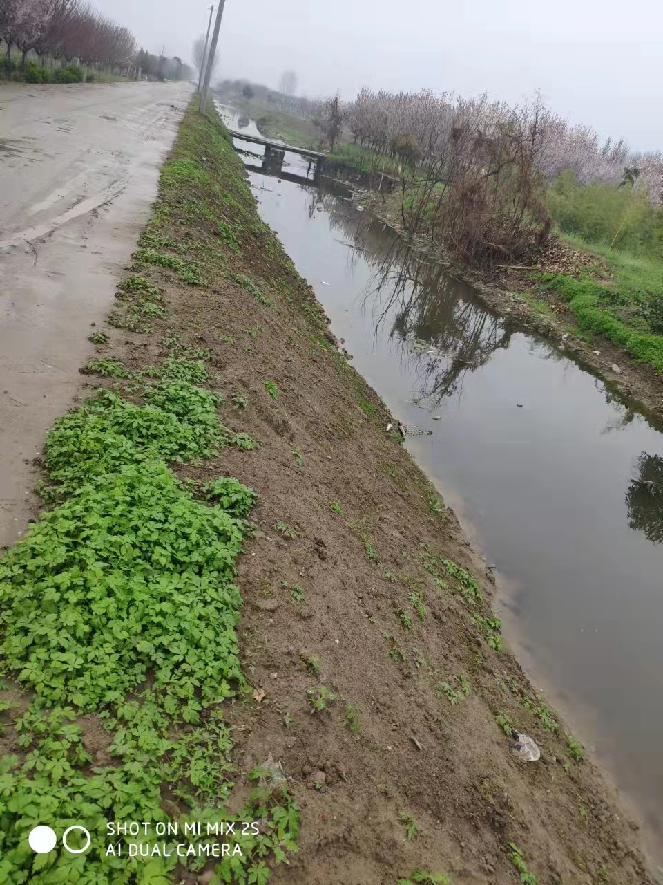 周至黑水體質(zhì)治理后