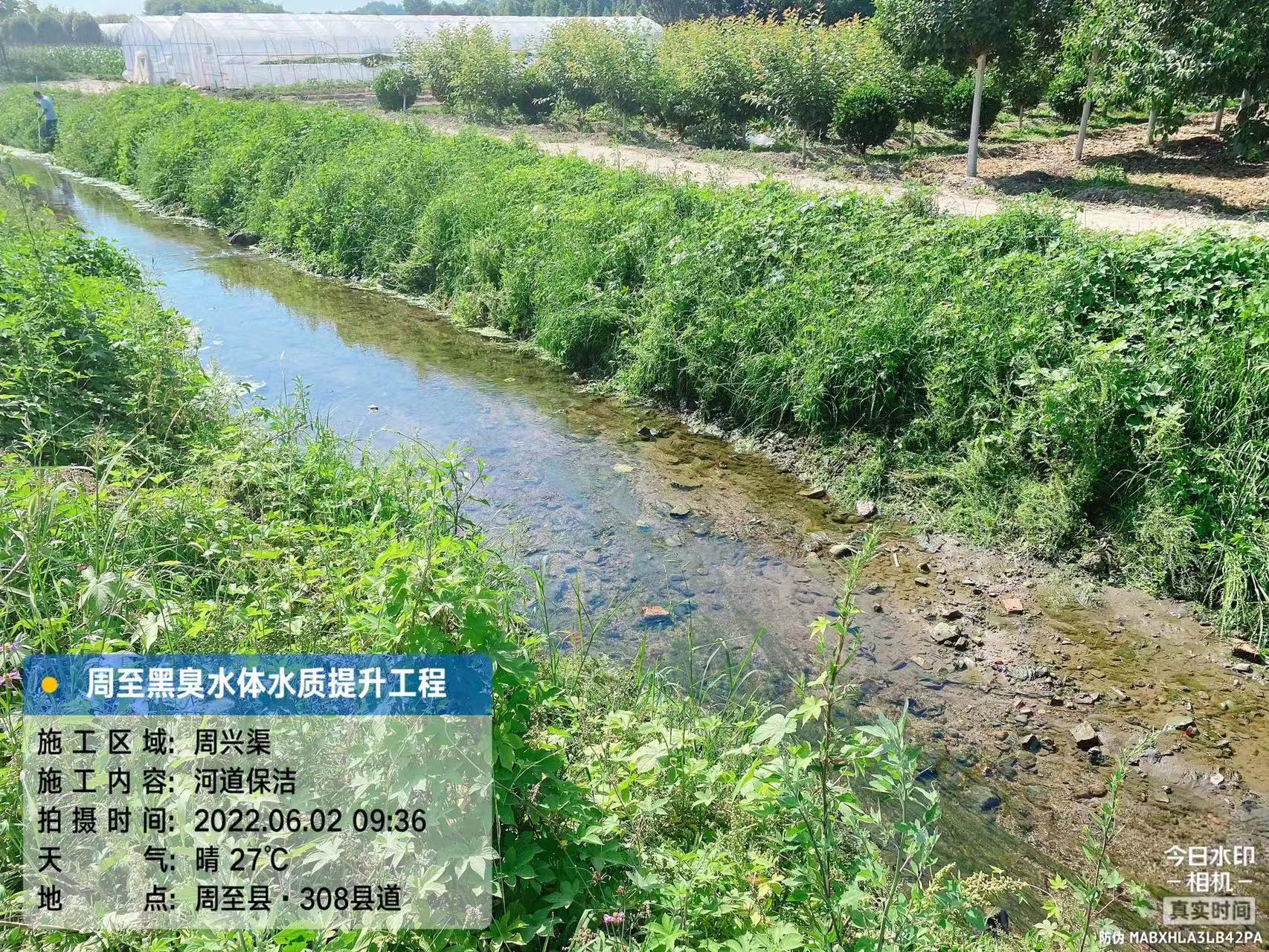 周至黑水體質(zhì)治理后效果